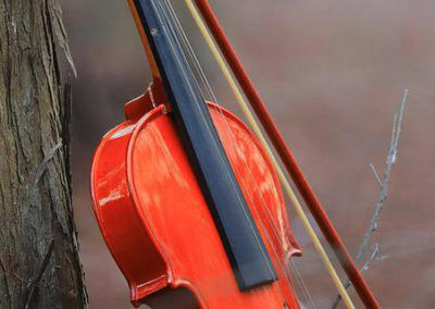 Wandelkonzert im Wald