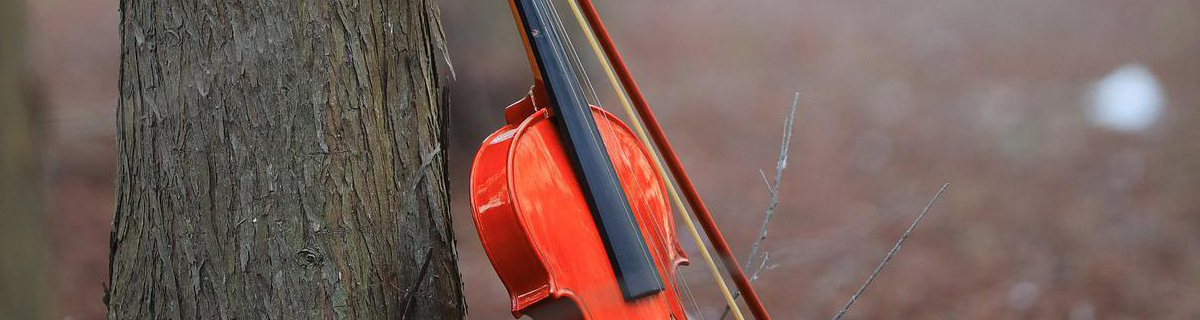 Violine im Wald Auf dem Bild ist der Ausschnitt einer Violine zu sehen, die an einen Baumstamm gelehnt ist.