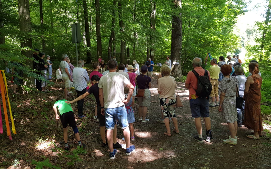 Wunderbares Wandelkonzert im Wald
