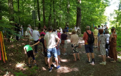 Wunderbares Wandelkonzert im Wald